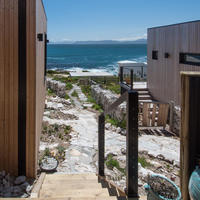 Whale & Gin Spotter - Xplorioâ„¢ Gansbaai 