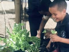 Planting New Veggies