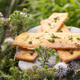 Schneiderâ€™s Cape Floral Kitchen - Xplorioâ„¢ Gansbaai 