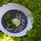 Schneiderâ€™s Cape Floral Kitchen - Xplorioâ„¢ Gansbaai 