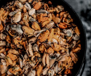 November 2022 Buffet Calendar