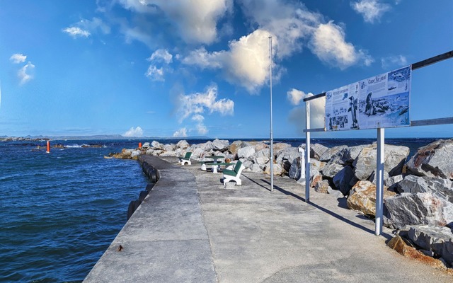 314365308_599218242209378_2691567465293239569_n_1667470334 314365308_599218242209378_2691567465293239569_n_1667470334