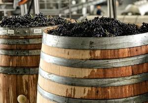 What is Carbonic Maceration?