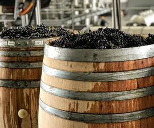 What is Carbonic Maceration?