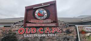 5 November 2022: Rugby - Autumn Internationals