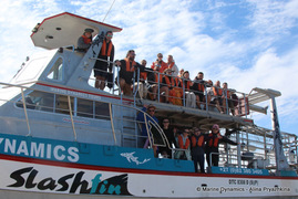 Daily Blog:Â 06 November 2022 | Shark Cage Diving in South Africa