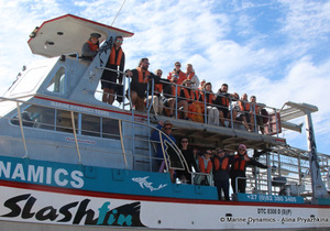 Daily Blog:Â 06 November 2022 | Shark Cage Diving in South Africa