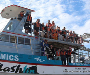 Daily Blog:Â 06 November 2022 | Shark Cage Diving in South Africa