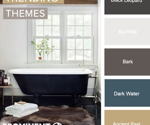 Prominent Paints Black Leopard