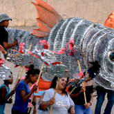 Fish - Barrydale Giant Puppet Parade - Xplorioâ„¢ Barrydale