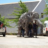 Elephant - Barrydale Giant Puppet Parade - Xplorioâ„¢ Barrydale