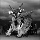 Kudu - Barrydale Giant Puppet Parade - Xplorioâ„¢ Barrydale