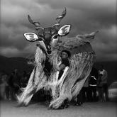 Kudu - Barrydale Giant Puppet Parade - Xplorioâ„¢ Barrydale