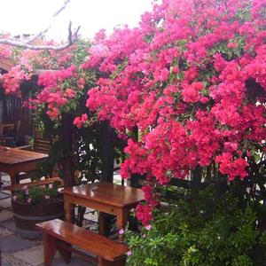 WhatsApp_Image_2022_11_10_at_11.12.54_AM_1668091520