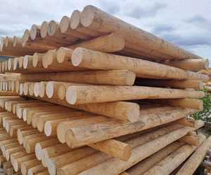 Quality Vineyard Pine Poles