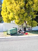 Household Waste CollectionÂ Over December Holidays