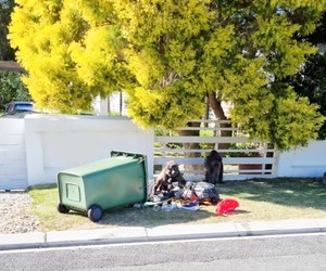 Household Waste CollectionÂ Over December Holidays
