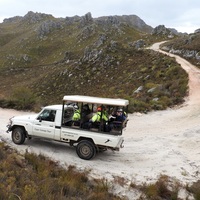 Branded Vehicle - Cape Canopy Tours - Xplorioâ„¢ Grabouw