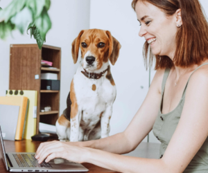 Tips On How To Manage A Hybrid Team