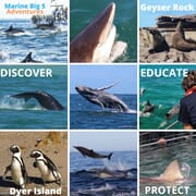 West Coast Rock Lobster Season 2022 / 2023