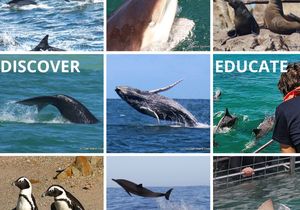 West Coast Rock Lobster Season 2022 / 2023