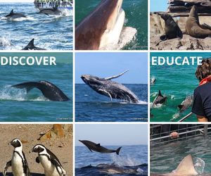 West Coast Rock Lobster Season 2022 / 2023