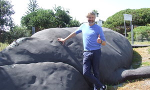 Wally, die Walvis in De KeldersÂ trek â€˜n nuwe baadjie aan