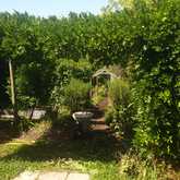 Garden - Foxy House - Xplorioâ„¢ Gansbaai