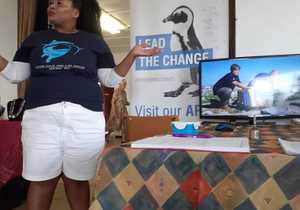 Bedreigde Afrika Pikkewyn Laat Bietoubossers NadinkÂ 