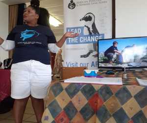 Bedreigde Afrika Pikkewyn Laat Bietoubossers NadinkÂ 