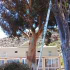 Tidying up at Sanbona - Cape Tree Services - Xplorioâ„¢ Barrydale