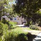 Tidying up at Sanbona - Cape Tree Services - Xplorioâ„¢ Barrydale