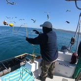 Cape Shark Adventures - Xplorioâ„¢ Gansbaai 