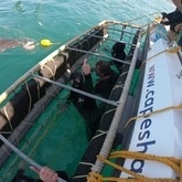 Cape Shark Adventures - Xplorioâ„¢ Gansbaai 