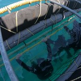 Cape Shark Adventures - Xplorioâ„¢ Gansbaai 