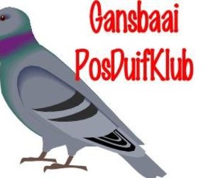  Gansbaai Posduifklub