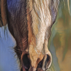 Horse - Creative Napier - Xplorioâ„¢ Napier