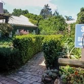 Garden - 35 On Basil - Xplorioâ„¢ Caledon