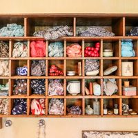 Rack - 35 On Basil - Xplorioâ„¢ Caledon