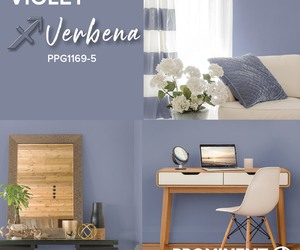 Violet Verbena Colour