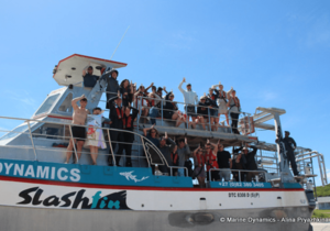 Daily Blog: 22 November 2022 | Shark Cage Diving in South Africa