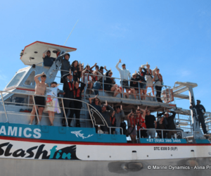 Daily Blog: 22 November 2022 | Shark Cage Diving in South Africa