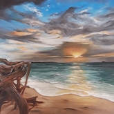 Driftwood - Linda Budde_Artist - Xplorioâ„¢ Gansbaai