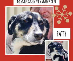 Up for Adoption: Patty