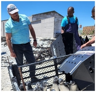 Endangered Penguins Released Back On Dyer Island