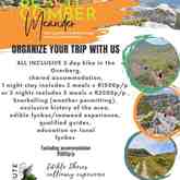 Edible Shores - Edible Shores Sustainable Seaweed Foraging - Xplorioâ„¢ Pringle Bay / Rooi Els