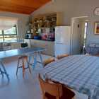 Mermaids Purse - Edible Shores Sustainable Seaweed Foraging - Xplorioâ„¢ Pringle Bay / Rooi Els