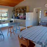 Mermaids Purse - Edible Shores Sustainable Seaweed Foraging - Xplorioâ„¢ Pringle Bay / Rooi Els