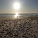 Edible Shores Sustainable Seaweed Foraging - Xplorioâ„¢ Pringle Bay / Rooi Els