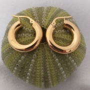 9ct Yellow GoldÂ Hoops